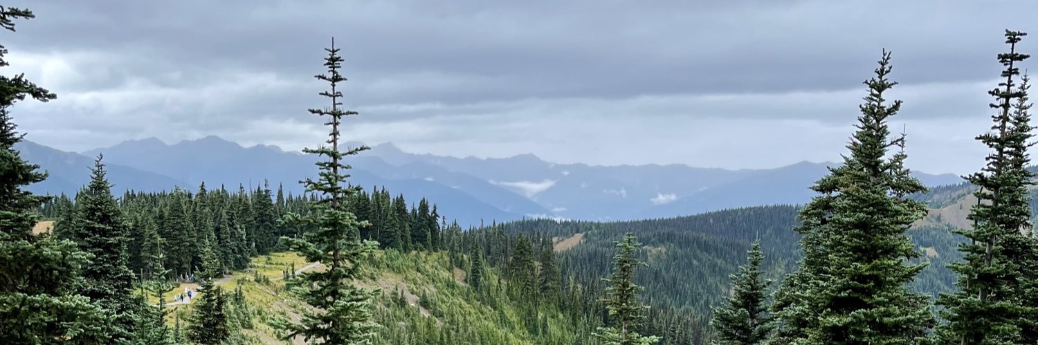 Mathias Niepert banner