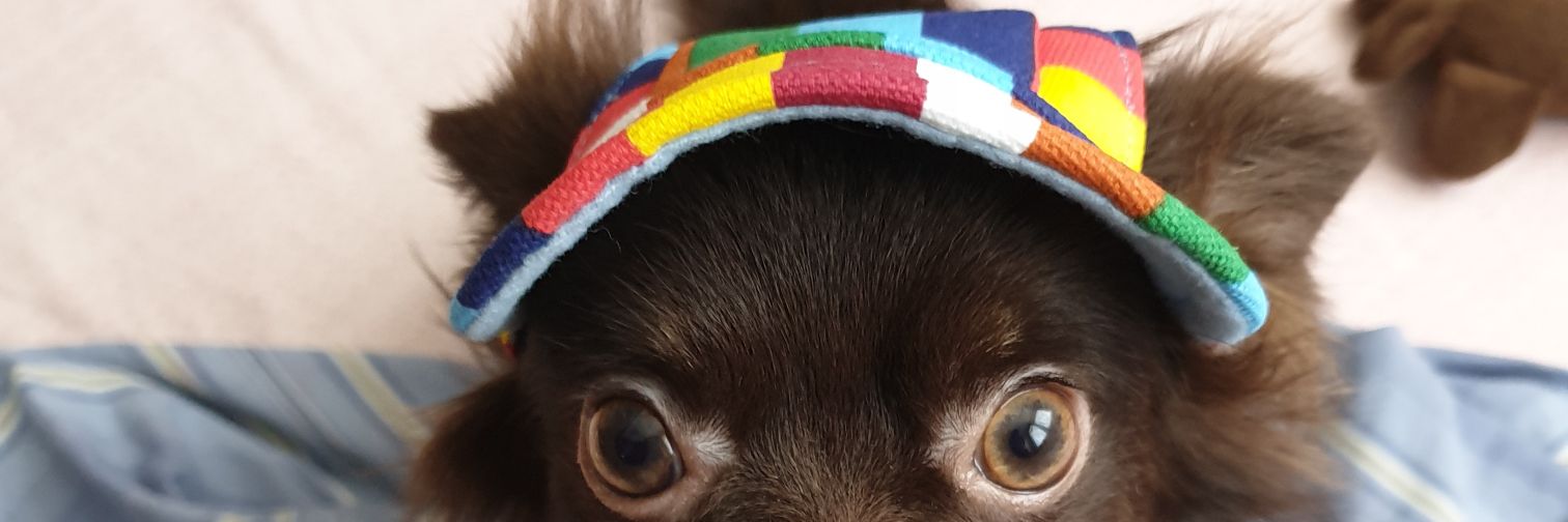 JasChase's profile banner image