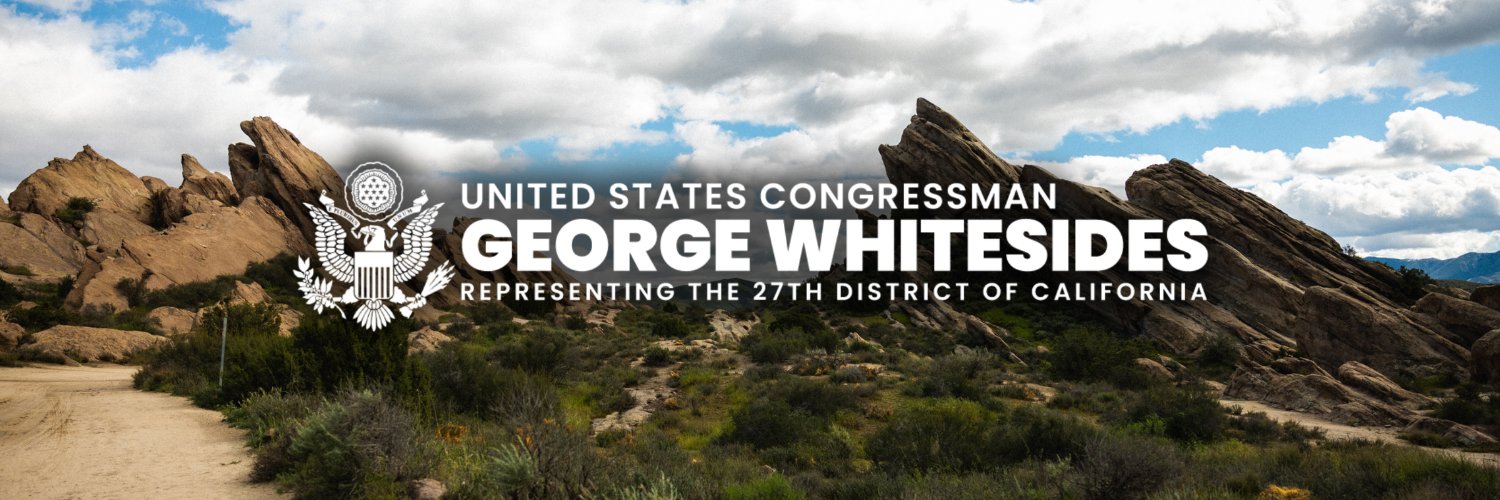 Rep. George Whitesides banner