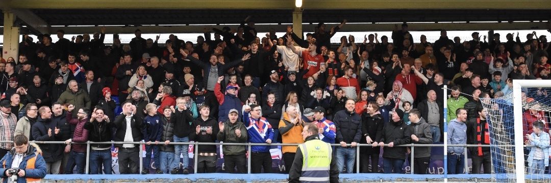 Red & Blue Army banner