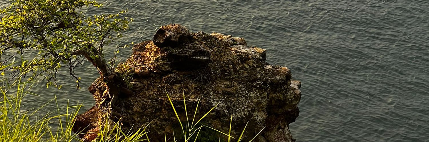 BeatriceOllimo's profile banner image