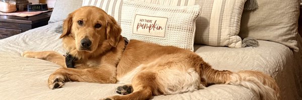 ChanceTheGolden Profile Banner