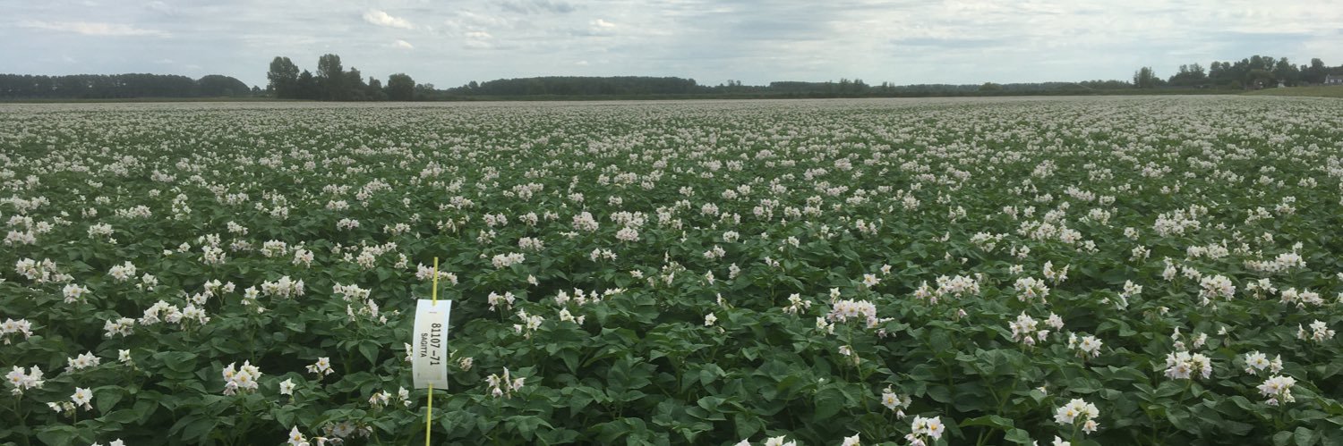 Arno Vael 🍀🍀🍀 banner