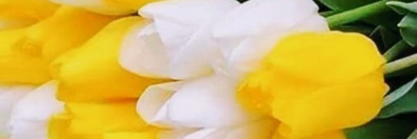 522MMM Profile Banner