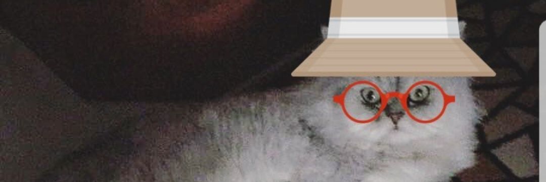 tugbathedoc's profile banner image