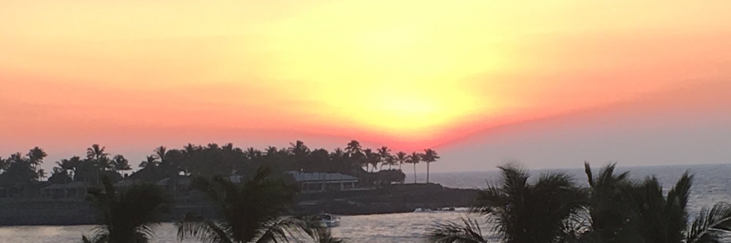 lexi feldsott banner