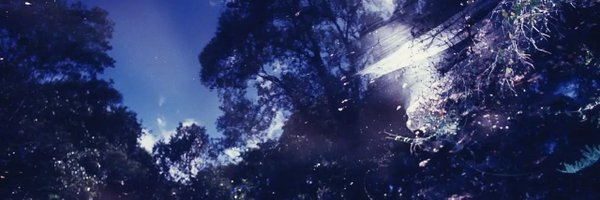 tartrotski Profile Banner