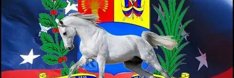 virginiajacinto's profile banner image