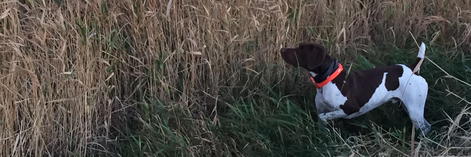 bendixson247's profile banner image