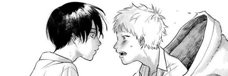 beki marasuchus banner