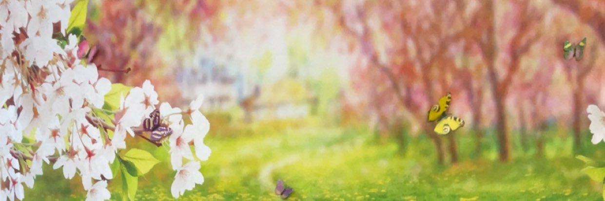Phyllis Finnegan banner