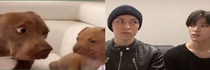 pam verno meio careco banner