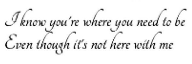 dove 🍰🪽 shedtwt banner