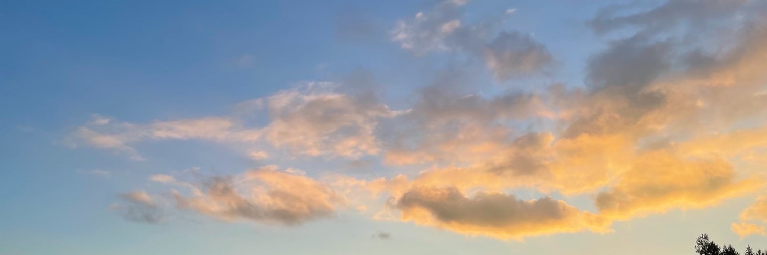 sophie's banner