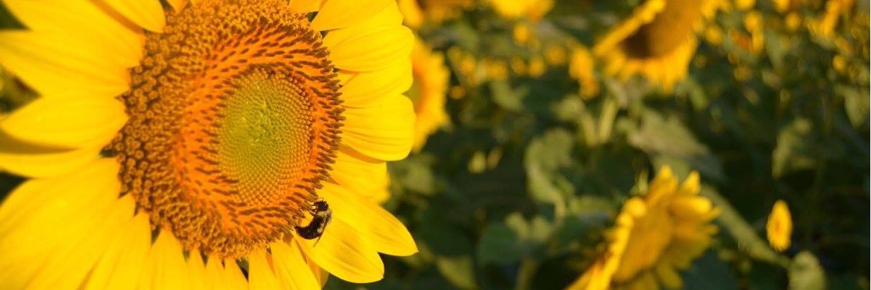HannahGrace95's profile banner image