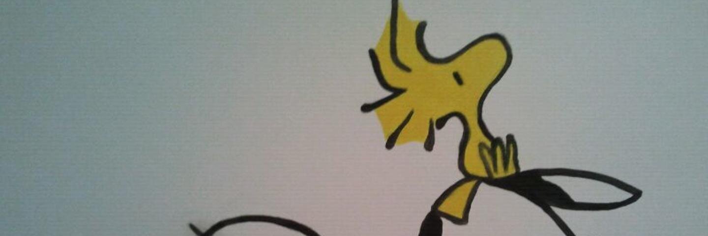 Jordi Divins banner