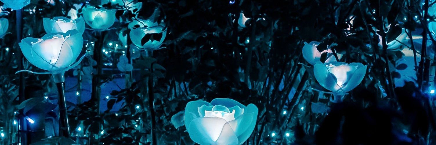 おもち banner