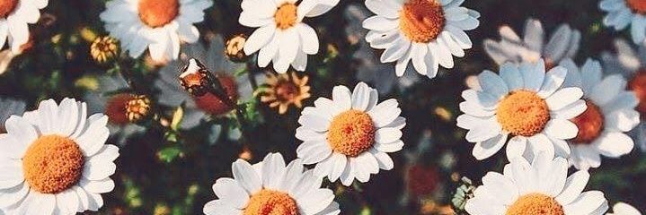 gerilanchez's profile banner image