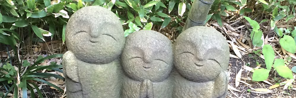 trotroll's profile banner image