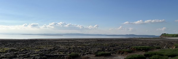 yvecass Profile Banner