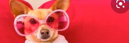 LaChuky banner