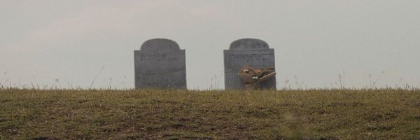 DominicaL Profile Banner