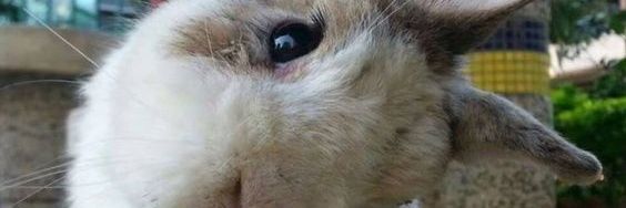 Gifiyellow's profile banner image