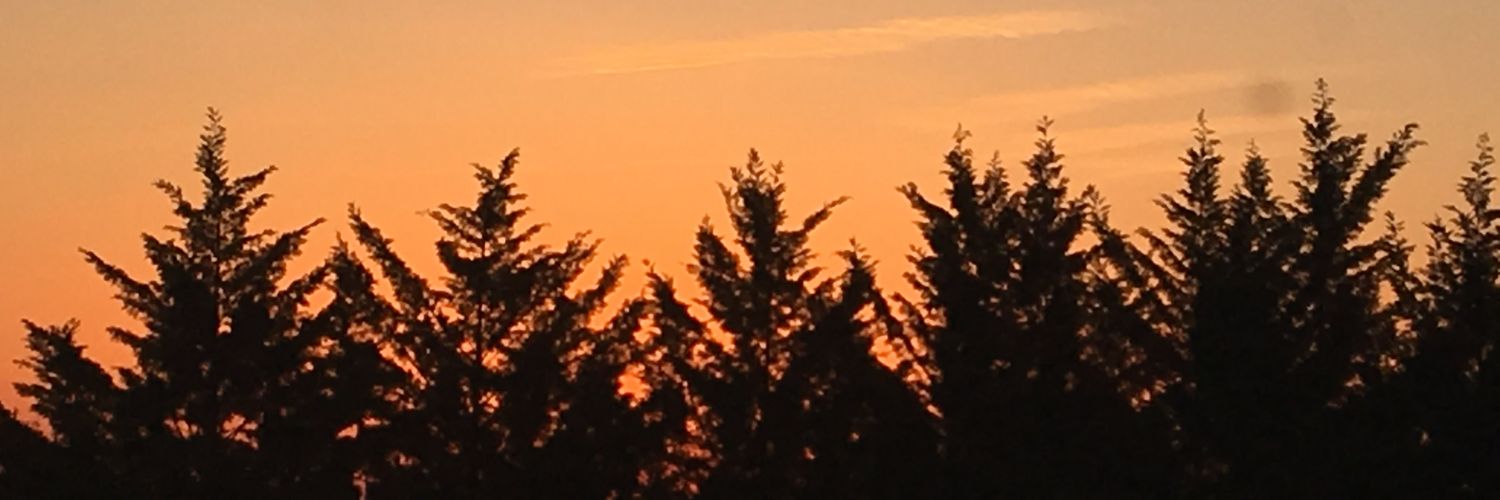 ABeckMitch's profile banner image