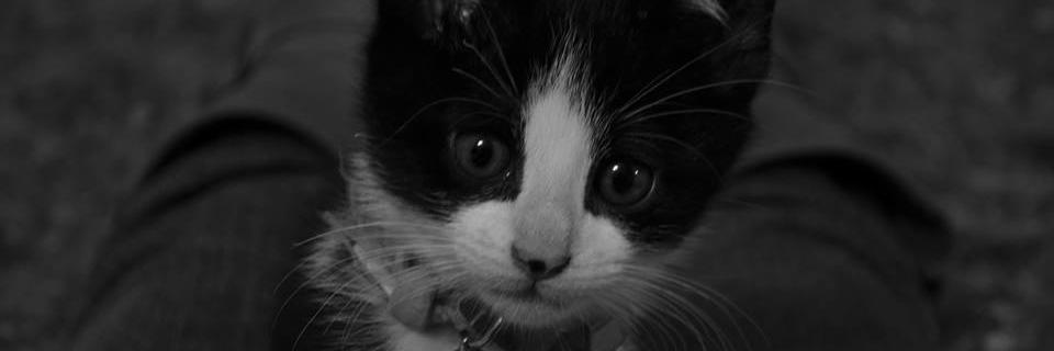 romigutierrez92's profile banner image