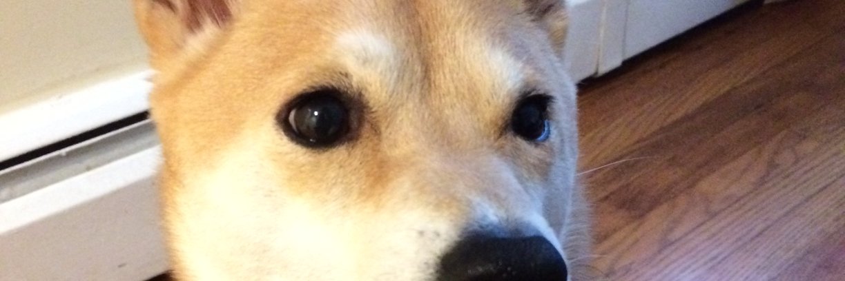 lApplesl's profile banner image