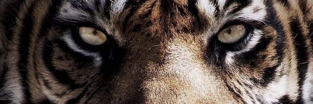 adamspark51's profile banner image