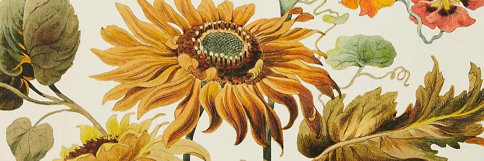 hellogildedmoss's profile banner image