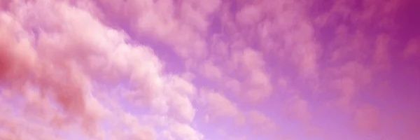 esdeperogrullo's profile banner image