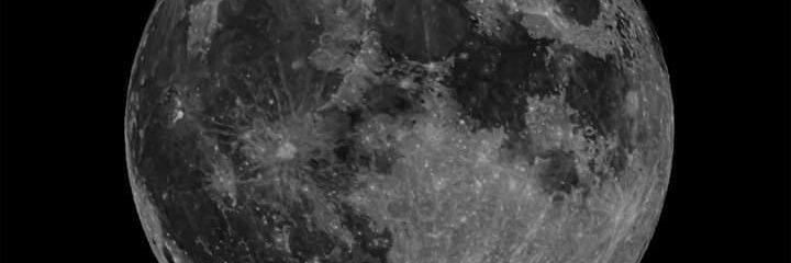 rorocarpe's profile banner image