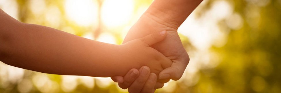 Treehouse_Fdn's profile banner image