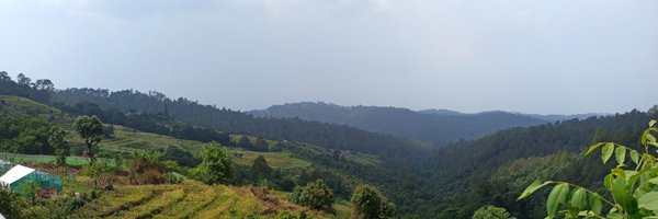 ProfSushobhan Profile Banner