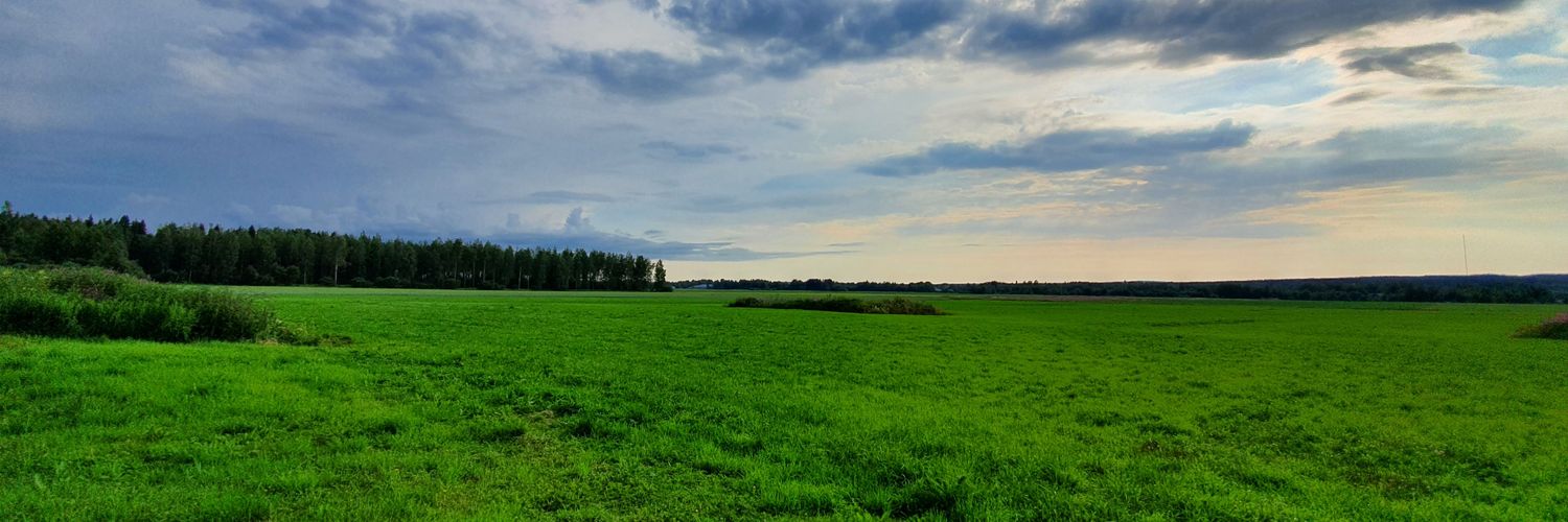 tkoskela's profile banner image