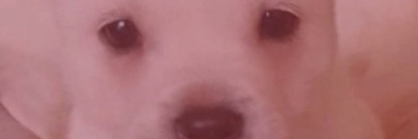 ssyo88 Profile Banner