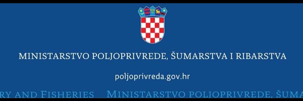 david_vlajcic Profile Banner