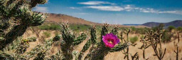 SergioTroncoso Profile Banner