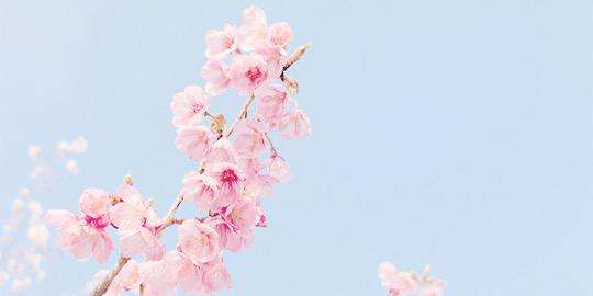 pam_b91's profile banner image