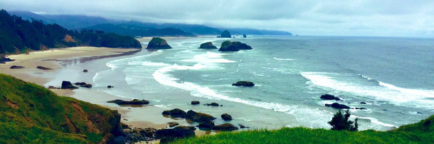 chris johnson banner