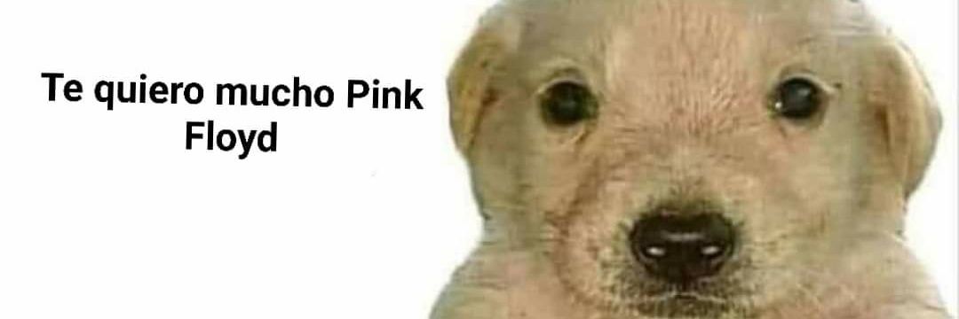 piko de galar banner