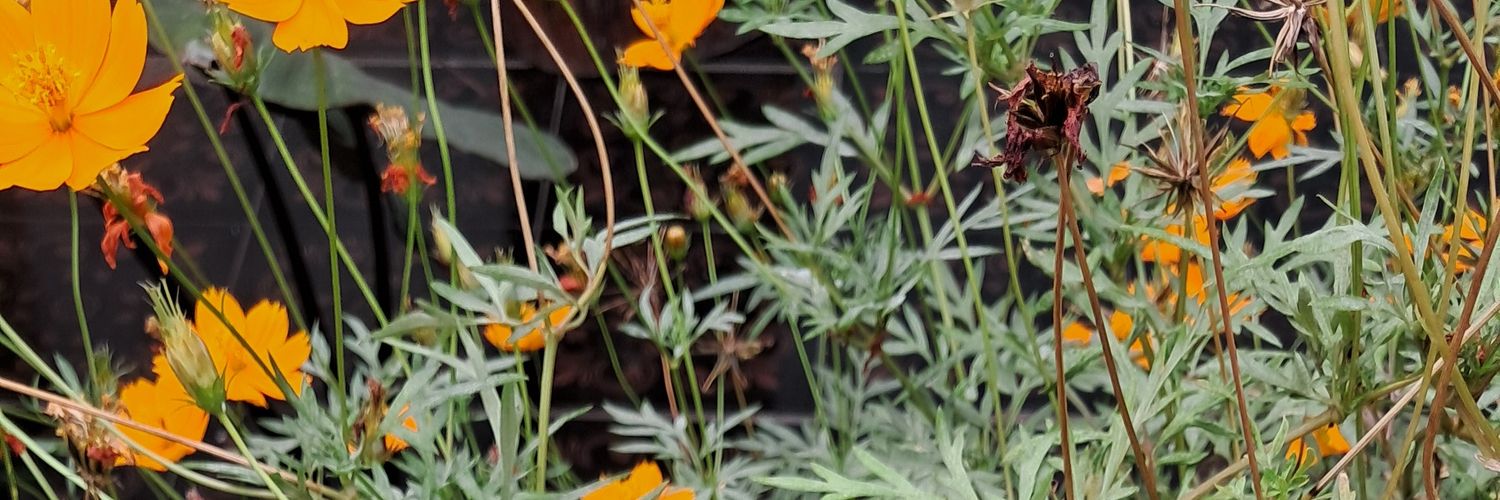 Rinnn | free tag🤗 banner