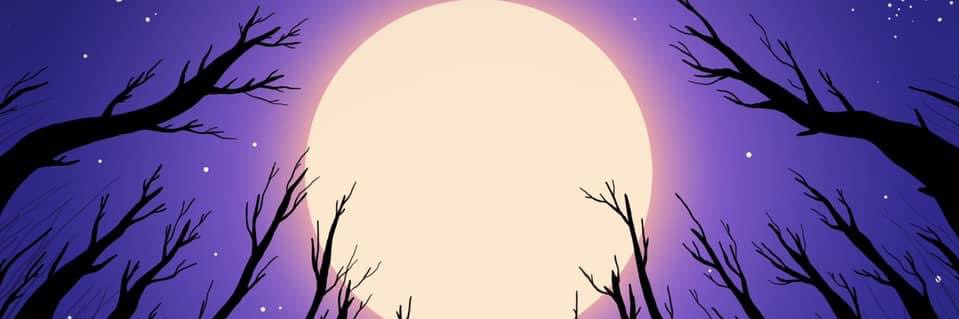 ~• banner