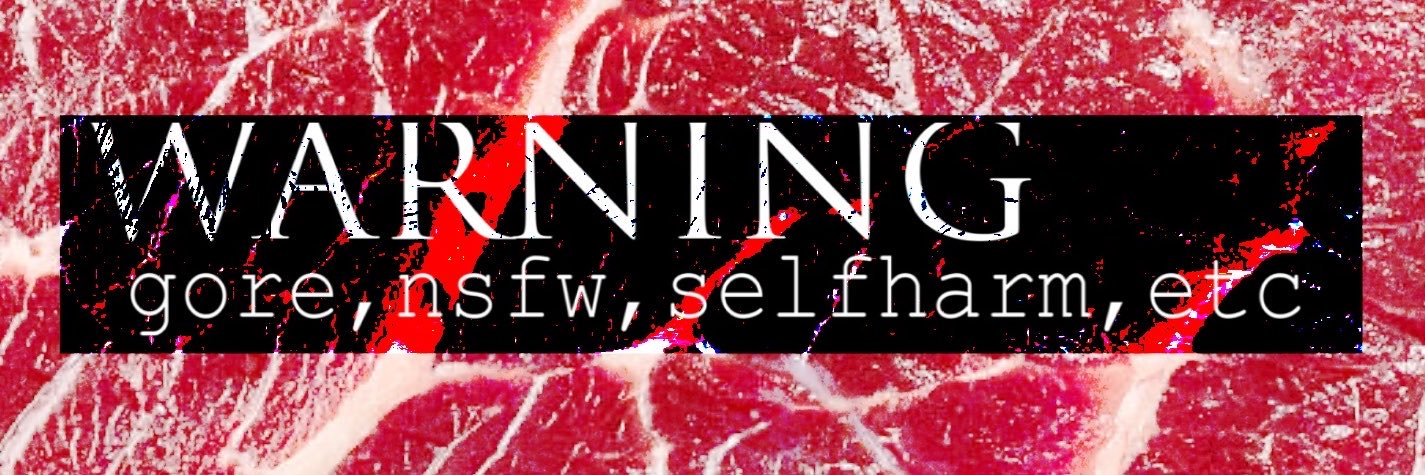 snufftoyfox's profile banner image