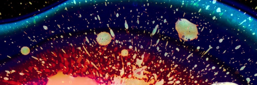 queondasoynacho's profile banner image