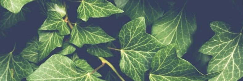 cssmxo_'s profile banner image
