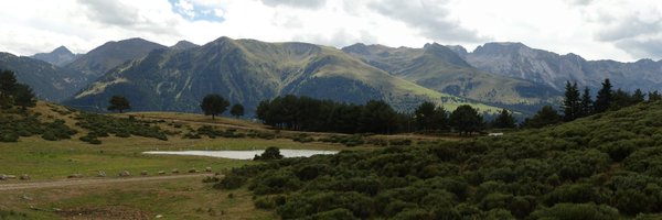 Truenazo Profile Banner