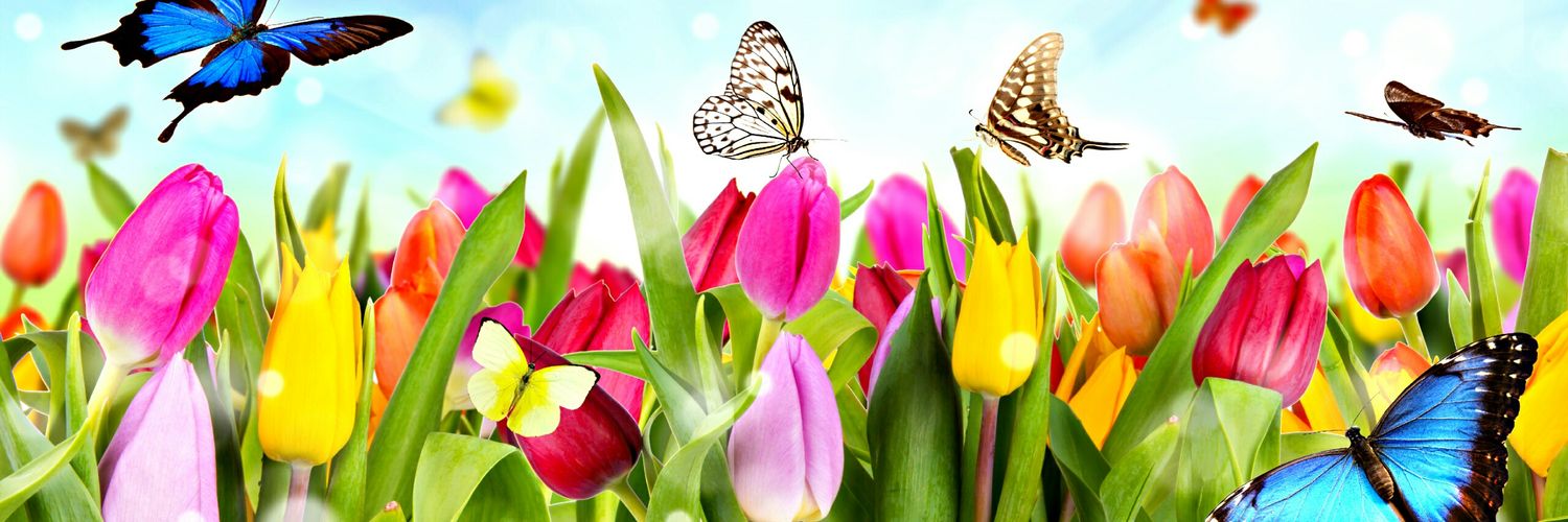 mills_eva's profile banner image